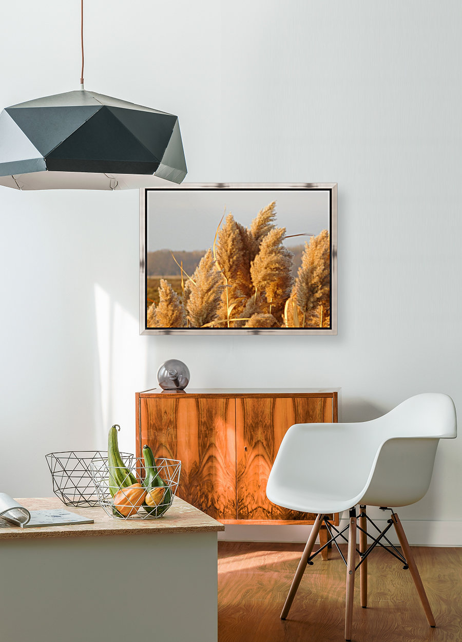 Golden hour Reproduction