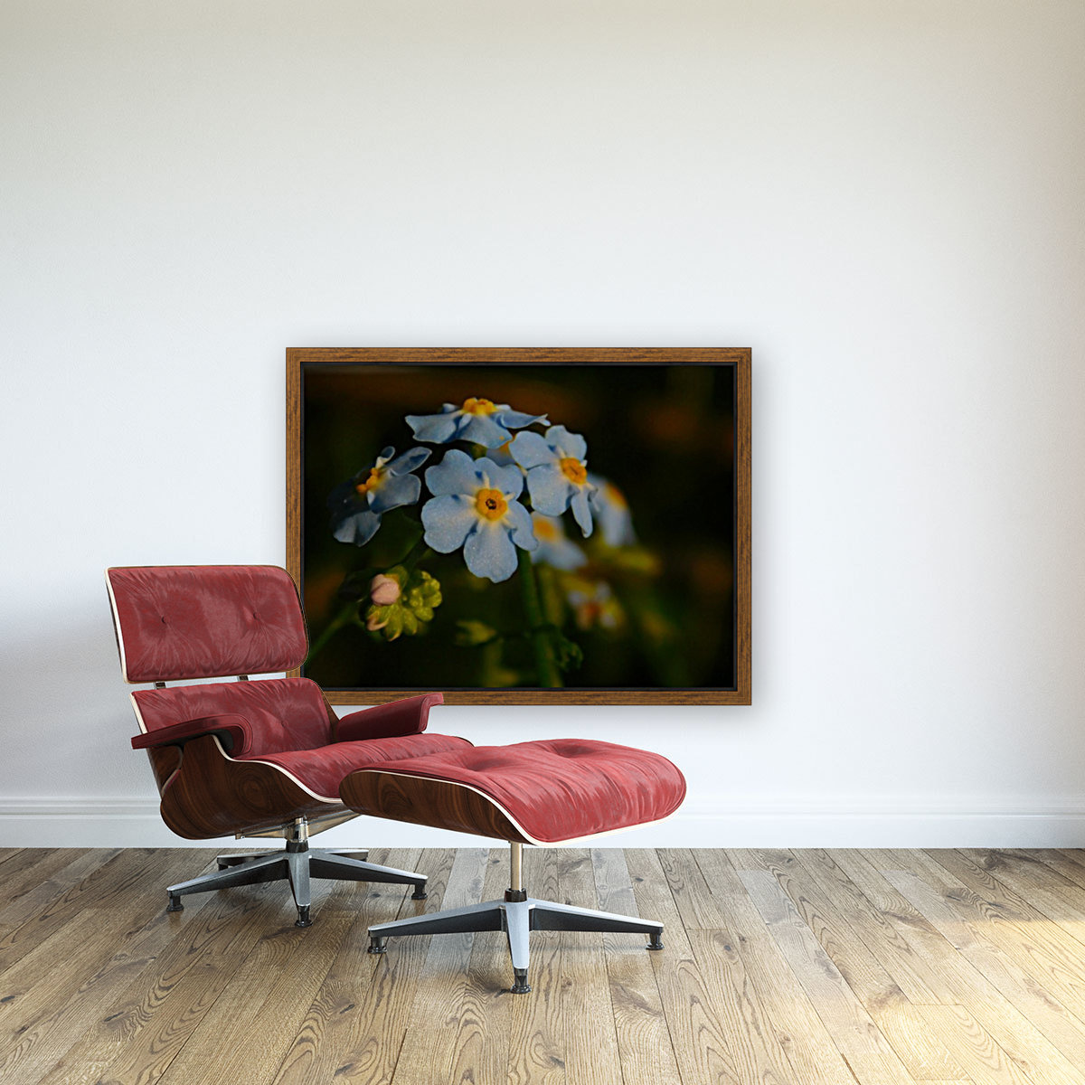 Forget-Me-Not  Reproduction