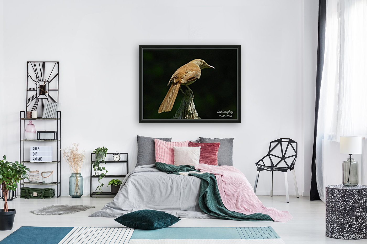 Brown thrasher Reproduction