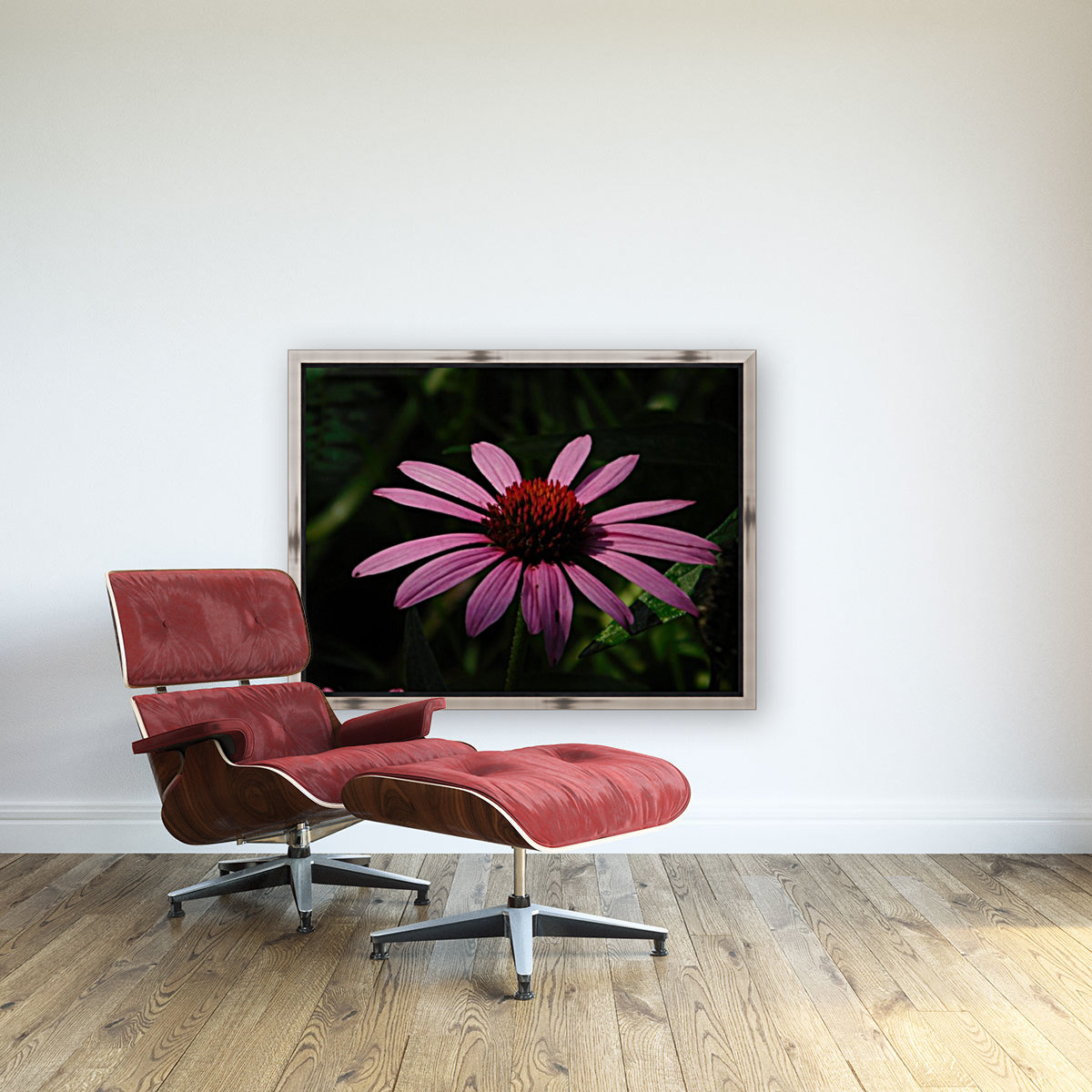 Echinacea Reproduction