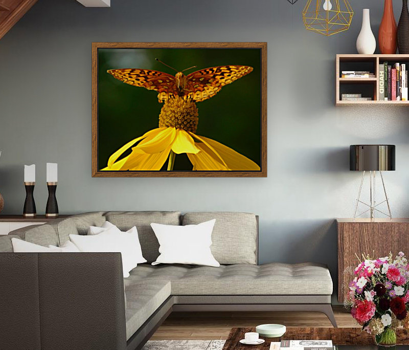 Fritillary butterfly Reproduction