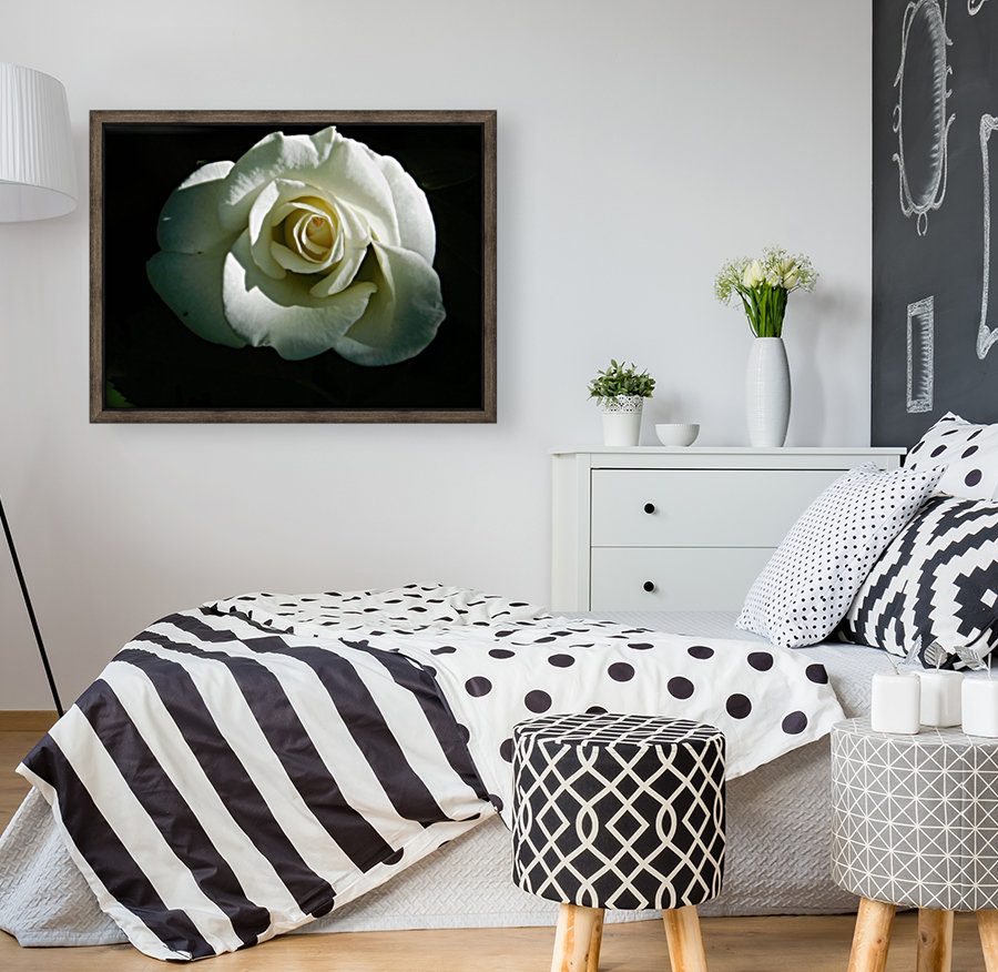 Bright white Reproduction