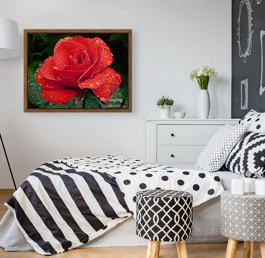 Rainy Day Rose Reproduction