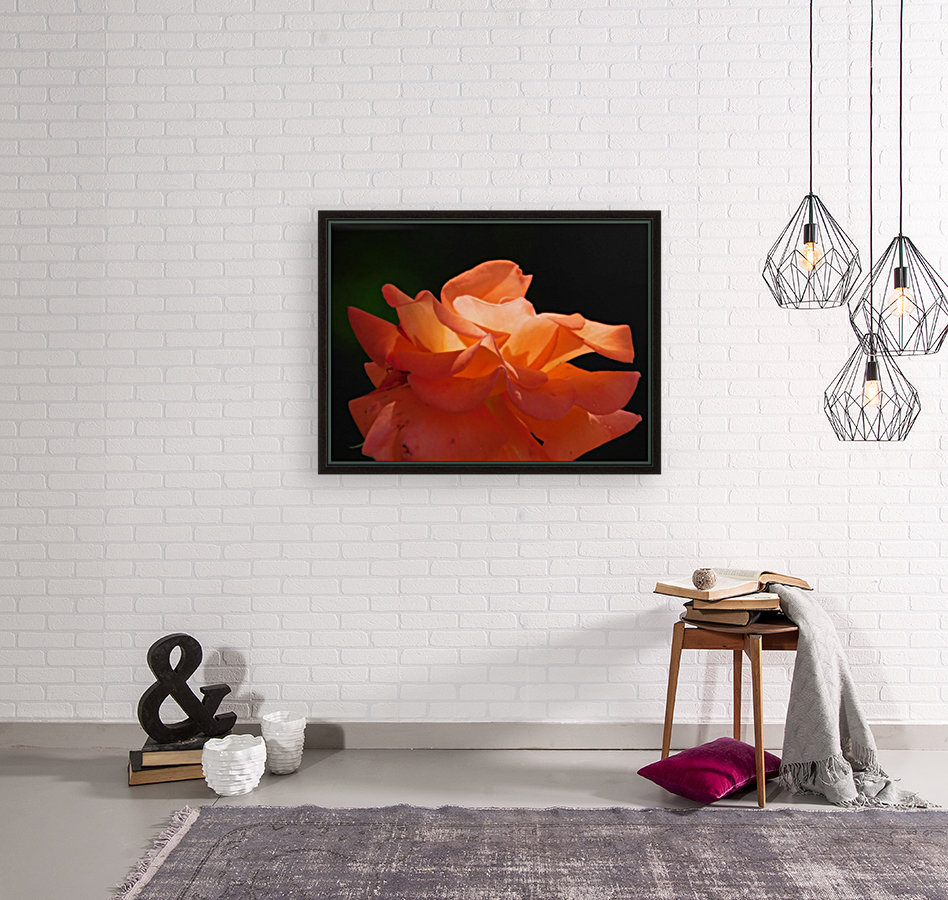 Sunset Rose Reproduction