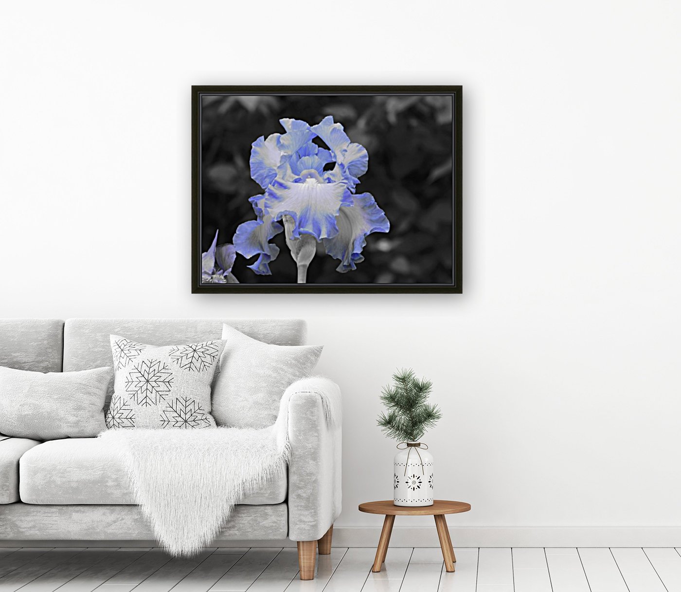 Blue Iris Reproduction