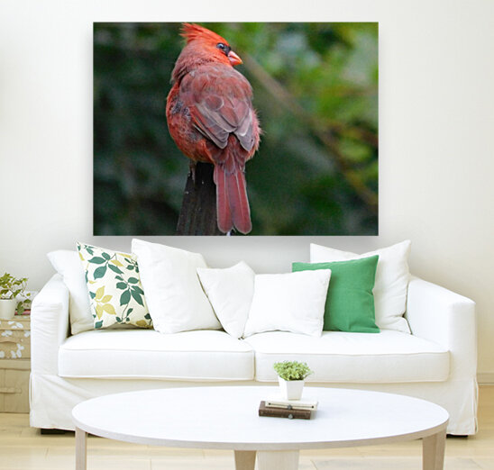 Visit before Dark Reproduction