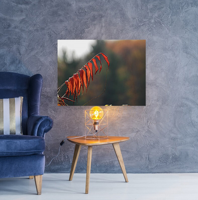 Sumac Red Reproduction
