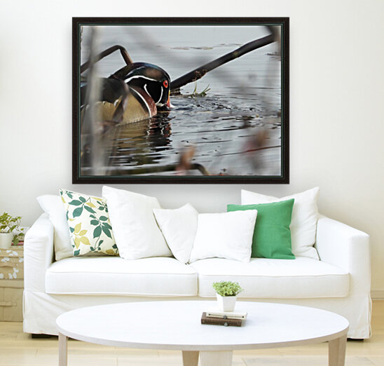 Dabbler Reproduction