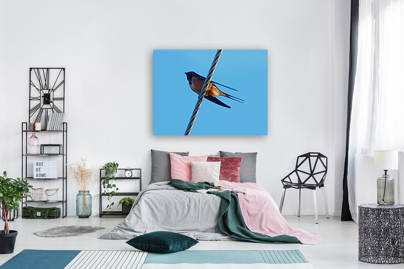 Barn Swallows Return Reproduction