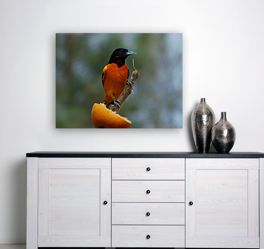 Bright Orange Reproduction