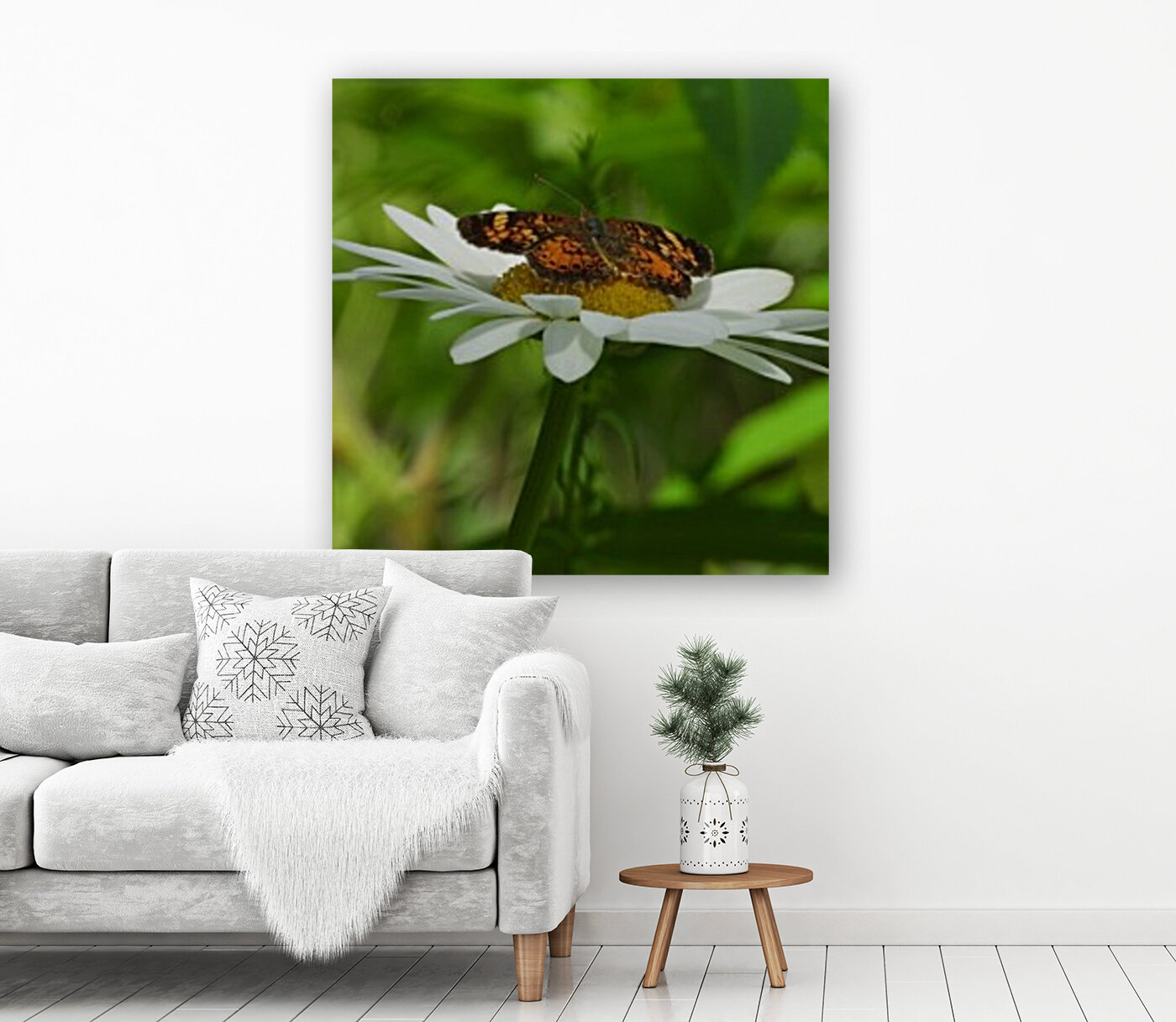 Pearl Crescent Reproduction