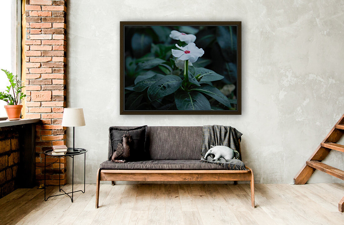 Trailing Vinca Reproduction