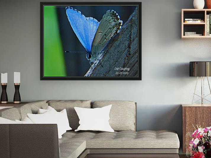 Azure Blue Reproduction