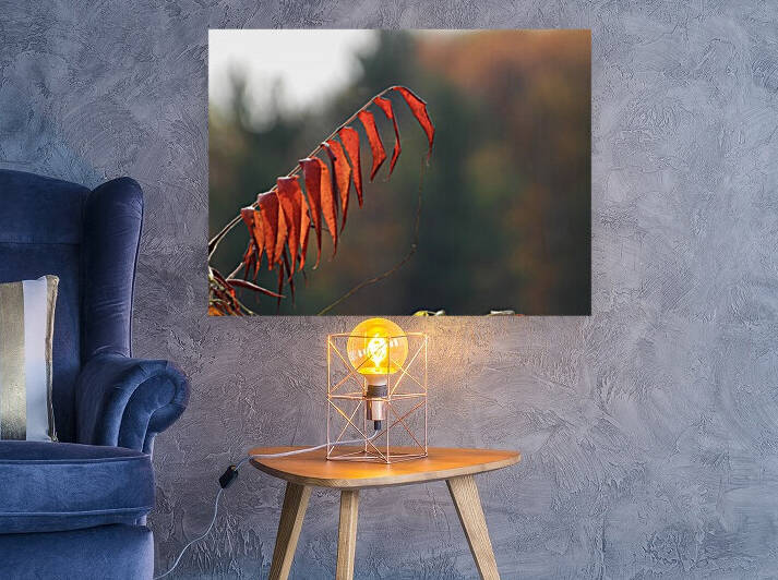 Sumac Red by Debbie Caughey