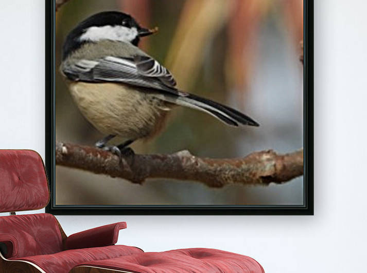 Catching late Sunshine Reproduction