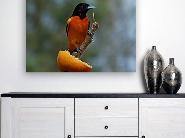Bright Orange Reproduction