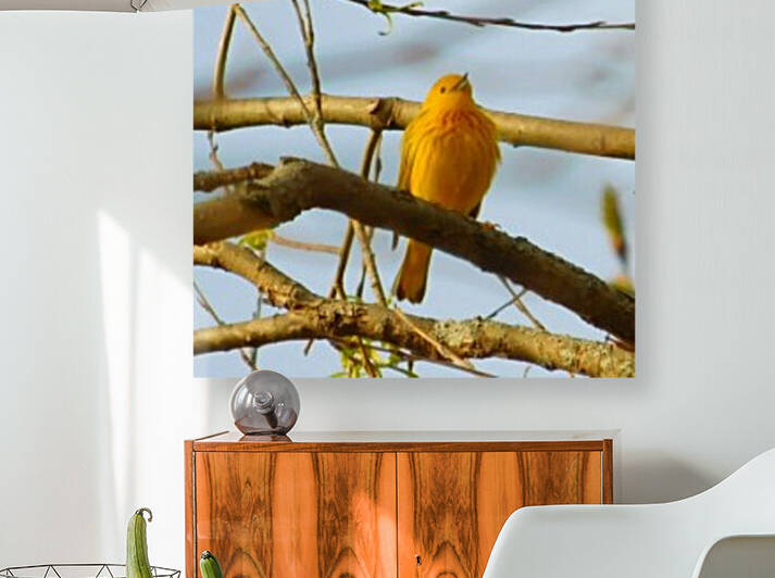 Mostly Yellow Reproduction