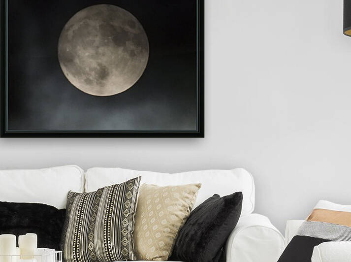 Moonlit Journey  Reproduction