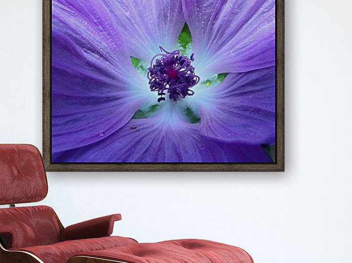 Wild N Purple Reproduction