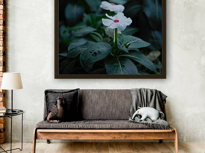 Trailing Vinca by Debbie Caughey