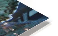 Azure Blue HD Metal print