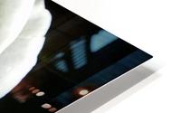 Bright white HD Metal print