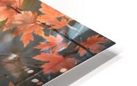 Fall Maples HD Metal print