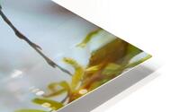 Mostly Yellow HD Metal print