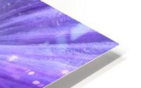 Wild N Purple HD Metal print