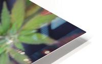 Lush Green HD Metal print