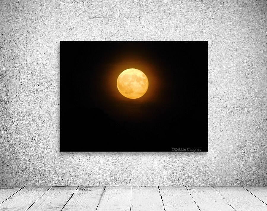 Full Moon Rising.  Wall Preview
