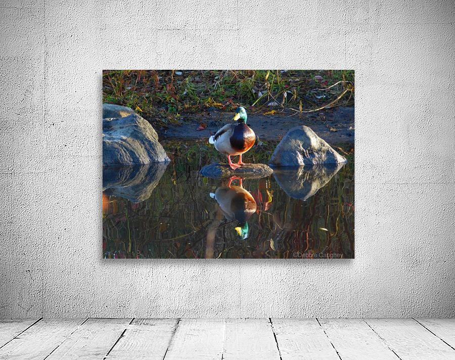 Fall Reflecting Wall Preview