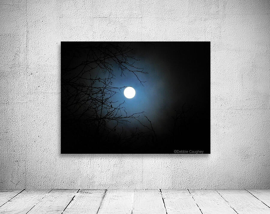 Cold Moon Wall Preview