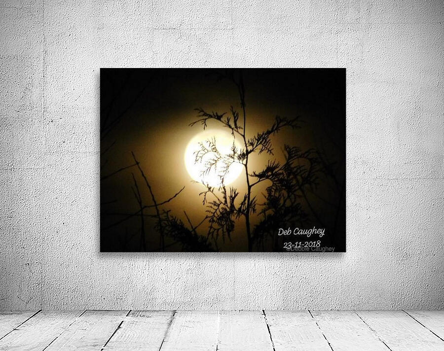Moonlit cedar Wall Preview