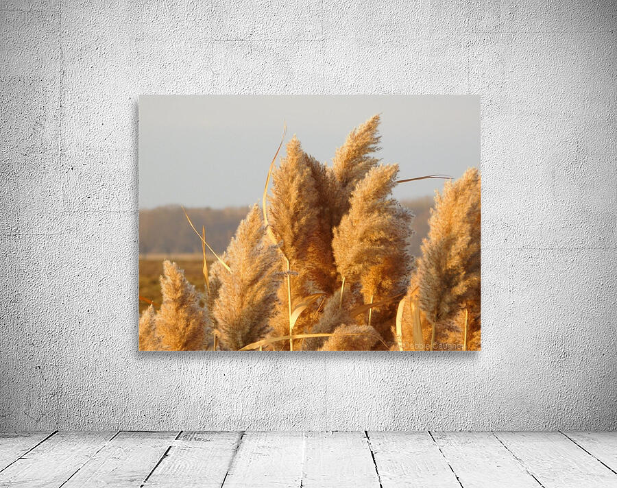Golden hour Wall Preview