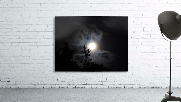 By Moonlight Wall Preview