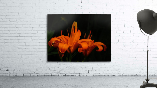 Fire Orange Wall Preview