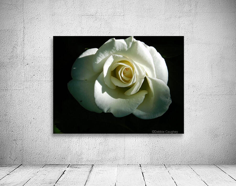 Bright white Wall Preview