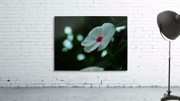 Awaiting Spring Wall Preview