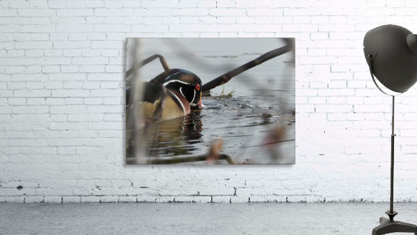 Dabbler Wall Preview