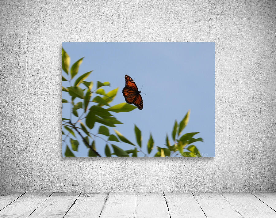 Floating Monarch  Wall Preview