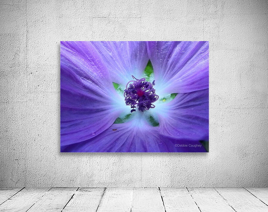 Wild N Purple Wall Preview