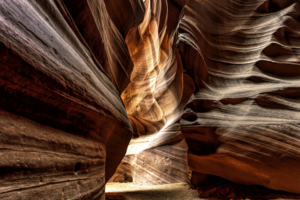 Antelope 4 Digital Download