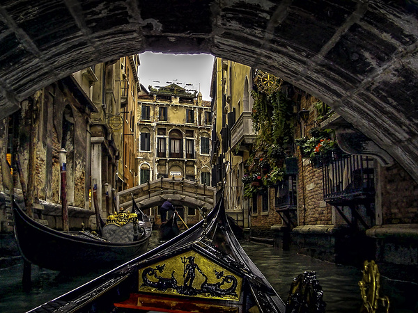 Venice 7 Digital Download