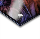 Antelope 14 Acrylic print