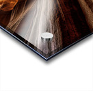 Antelope 4 Acrylic print