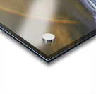 Joshua Tree Forest Acrylic print