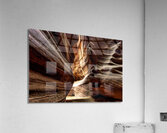 Antelope 4 Acrylic Print