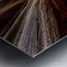 Antelope 4 Metal print