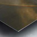 Joshua Tree Forest Metal print